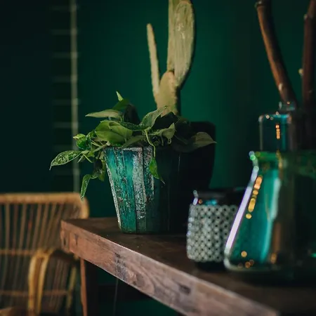 Dudok Studio's Arnhem-oosterbeek דירה אוסטרבייק