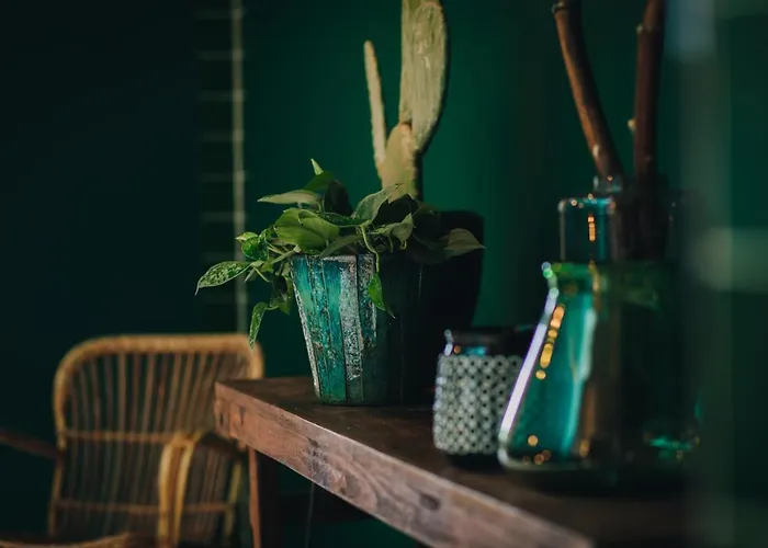 Dudok Studio's Arnhem-oosterbeek Appartement Oosterbeek